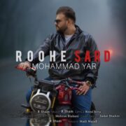 دانلود آهنگ جدید محمد یار روح سرد